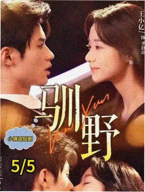 旧城档案悬疑剧在线观看
